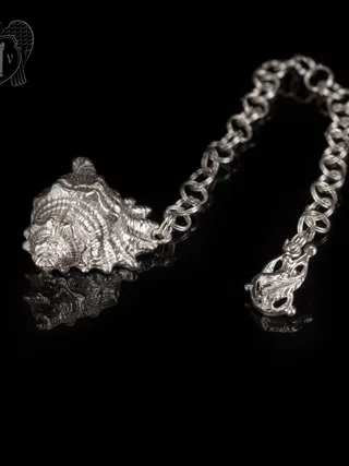 Ионизатор серебряный «Ракушка»