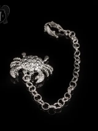 Серебряный ионизатор для воды «Краб»