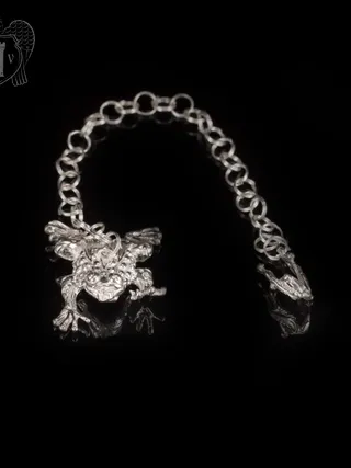 Серебряный ионизатор для воды «Лягушечка»