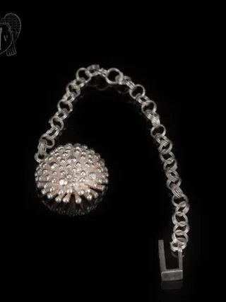 Серебряный ионизатор для воды «Морской еж»