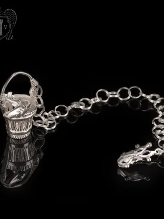 Серебряный ионизатор воды «По щучьему велению»